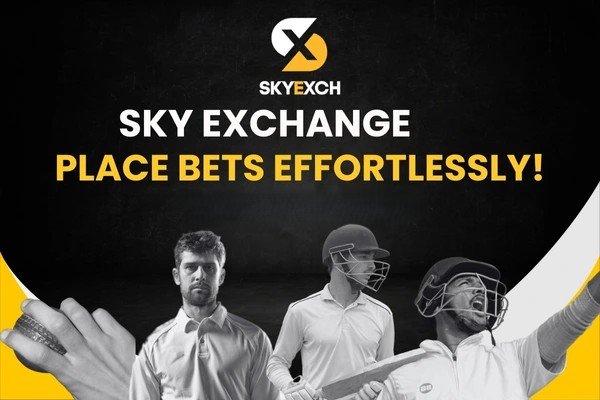 Skyexchange at a Glance